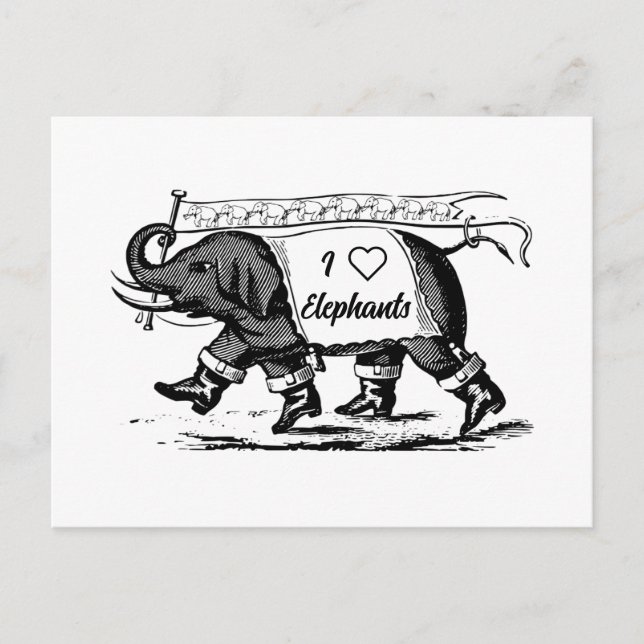 Carte Postale J'aime les éléphants (Devant)