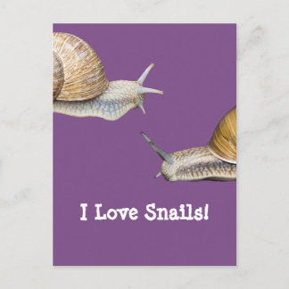 Carte Postale J'aime les escargots Conception des escargots