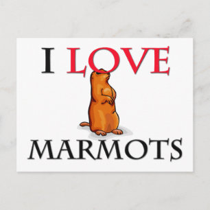 Carte Postale J'aime les marmottes