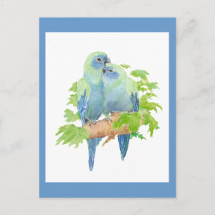 Carte Postale J'aime les perroquets, collection d'oiseaux tropic