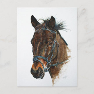 Carte Postale J'aime les poneys