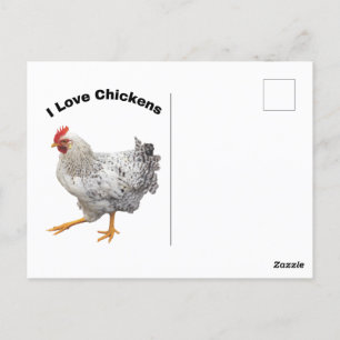 Carte Postale J'Aime Les Poulets. Poulets, humour, drôle