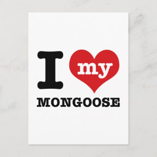 Carte Postale J'aime ma mangouste