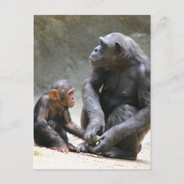 Carte Postale 'J'aime ma mère' (Devant)