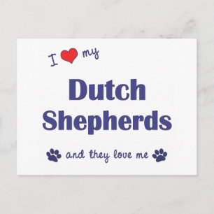 Carte Postale J'Aime Mes Bergers Néerlandais (Chiens Multiples)