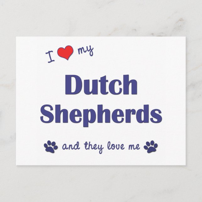 Carte Postale J'Aime Mes Bergers Néerlandais (Chiens Multiples) (Devant)
