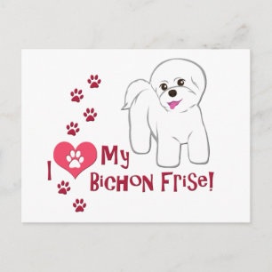 Carte Postale J'Aime Mon Bichon Frise !