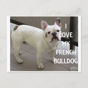 Carte Postale J'Aime Mon Chien À Balle Français