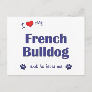 Carte Postale J'Aime Mon Chien À Balles Français (Chien À Malles