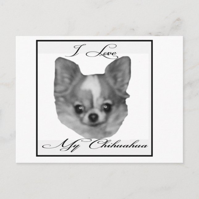 Carte Postale J'aime mon chihuahua (Devant)