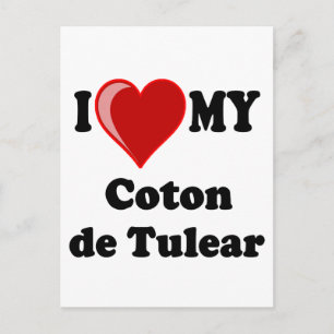Carte Postale J'Aime Mon Coton De Tulear Dog