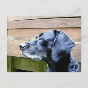 Carte Postale J'Aime Mon Laboratoire