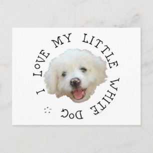 Carte Postale J'Aime Mon Petit Chien À Secourt Blanche