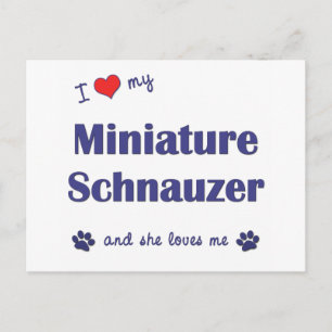 Carte Postale J'Aime Mon Schnauzer Miniature (Chien Femme)