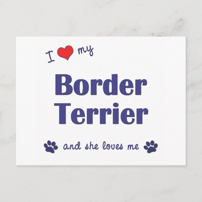 Carte Postale J'Aime Mon Terrier Frontalier (Chien Féminin) (Devant)