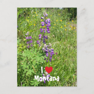 Carte Postale J'aime Montana