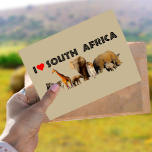 Carte Postale J'aime South Africa Wildlife Collector