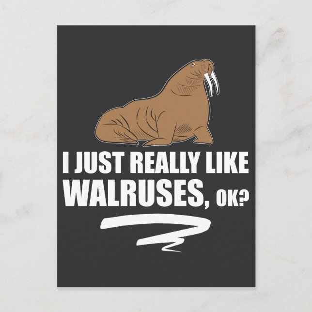 Carte Postale J'Aime Vraiment Walruses OK - Funny Walrus (Devant)