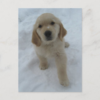 Carte Postale J'Aimerais Que Vous Étiez Ici