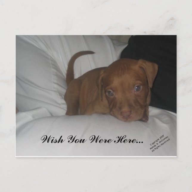 Carte Postale J'Aimerais Que Vous Soyez Ici... (Devant)