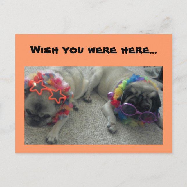 Carte Postale J'aimerais que vous soyez ici...Carte postale (Devant)