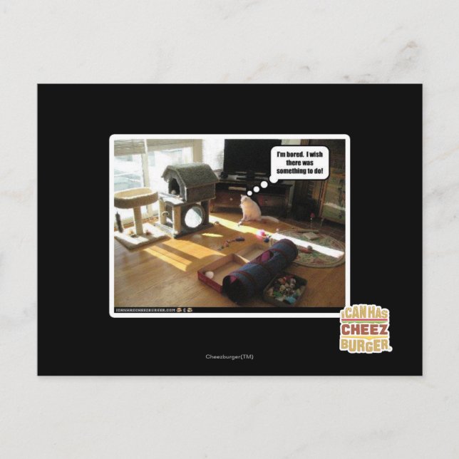 Carte Postale J'aimerais qu'il y ait quelque chose à faire (Devant)