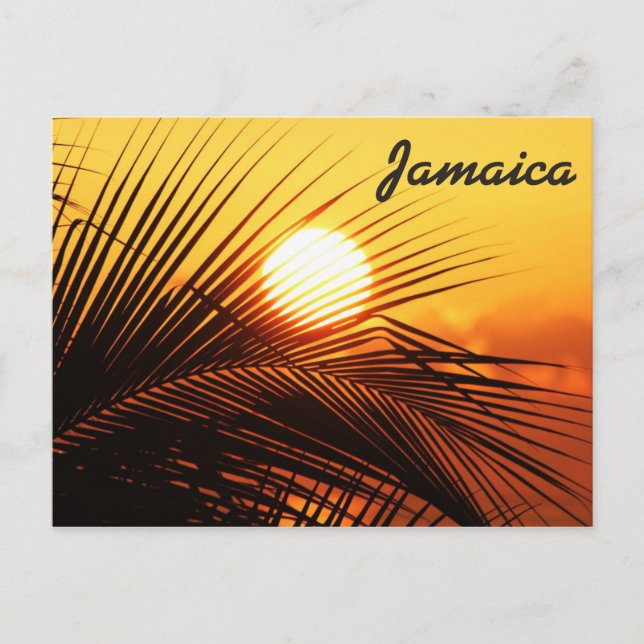 Carte Postale Jamaica Sunset Postcard (Devant)