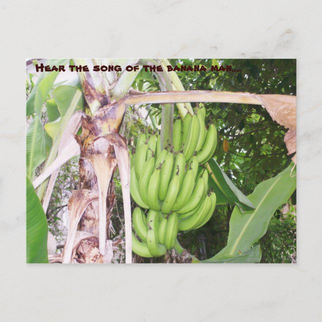 Carte postale Jamaïcaine Banana Man (Devant)