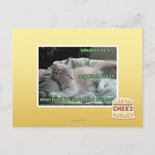 Carte Postale Jamais ne vivant encore dans une cage