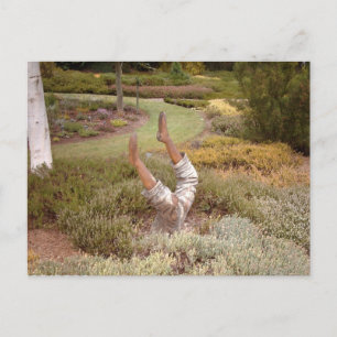 Carte Postale Jambes mystiques akimbo