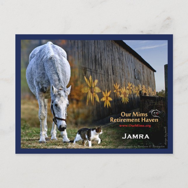 Carte postale Jamra (Devant)