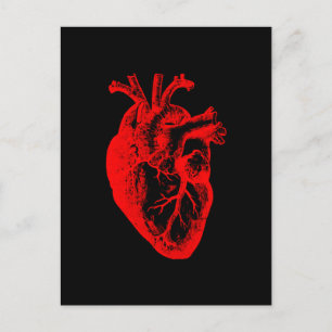 Carte Postale J'anatomie de coeur de coeur aiment/I