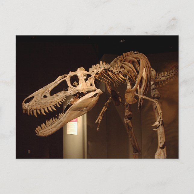 Carte Postale Jane - Vue #6 (Devant)