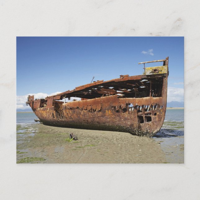 Carte Postale Janie Seddon Shipwreck, Motueka, Nelson (Devant)