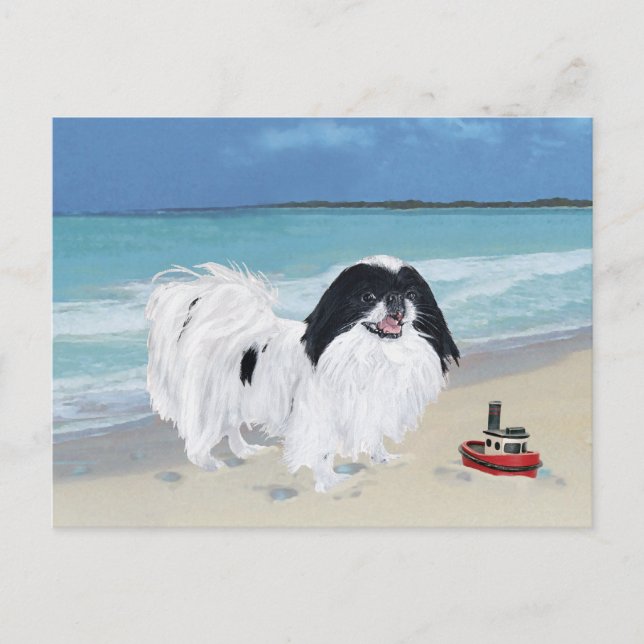 Carte Postale Japanese Chin à la plage (Devant)