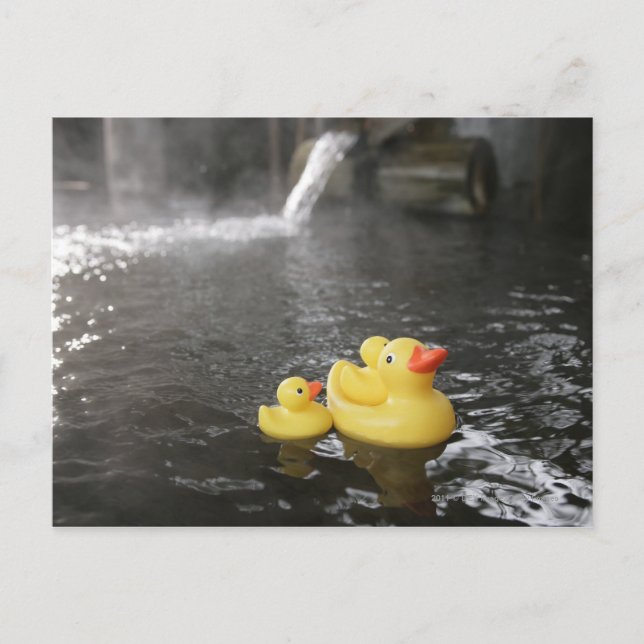 Carte Postale Japanese Rubber Duckies (Devant)