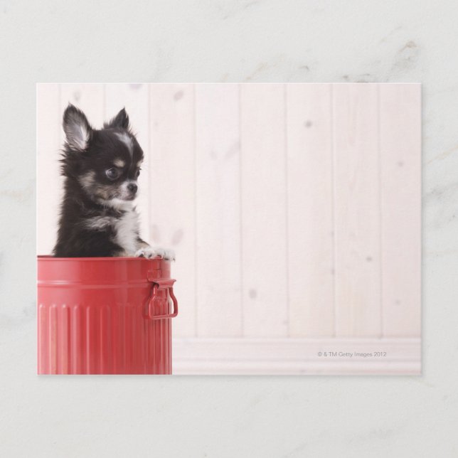 Carte Postale Japon 4 (Devant)