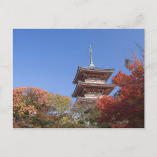 Carte Postale Japon, Kyoto, Pagode en couleur d'automne