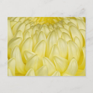 Carte Postale Japon, Mie, sanctuaire d'Ise, chrysanthème