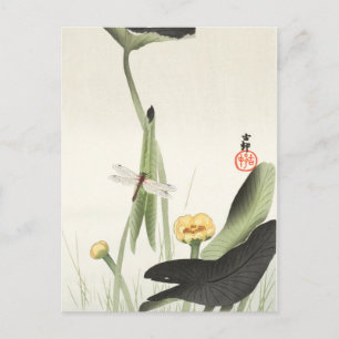 carte postale japonaise d'ohara koson,小 原 古 邨 の 日 