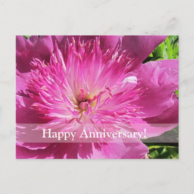 Carte postale japonaise Peony Happy Anniversaire (Devant)