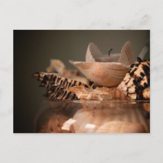 Carte postale Jar of Sea Shells