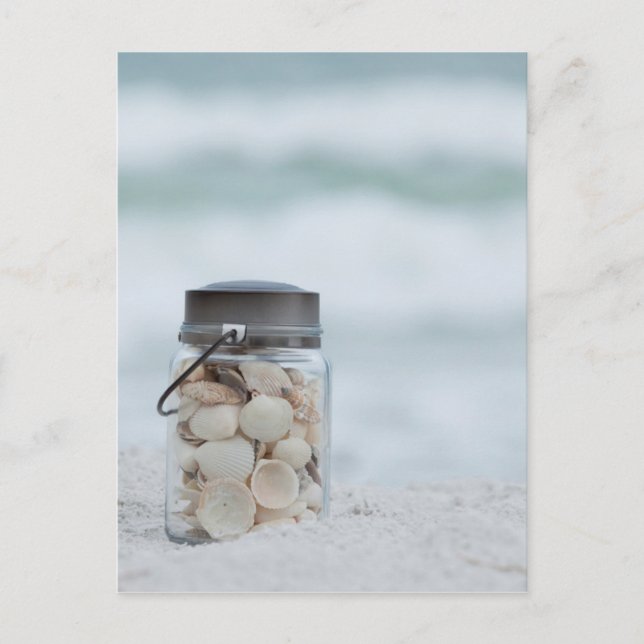 Carte Postale Jar Of Seashells On The Beach | Florida (Devant)