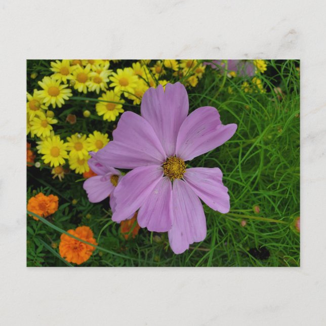 Carte Postale Jardin (Devant)