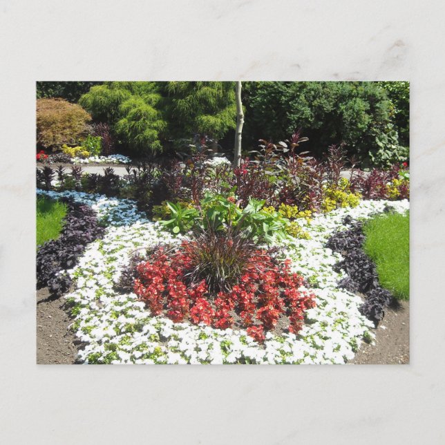 Carte Postale Jardin Aménagé (Devant)