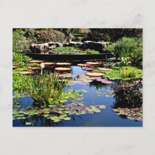 Carte Postale Jardin aquatique
