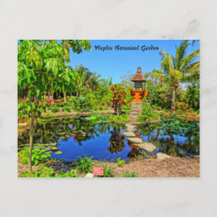 Carte Postale Jardin asiatique - Jardin botanique de Naples Napl