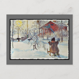 Carte Postale Jardin avant et salle de lavage