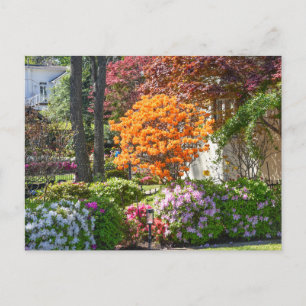 Carte Postale Jardin Azalea Trail à Tyler, Texas