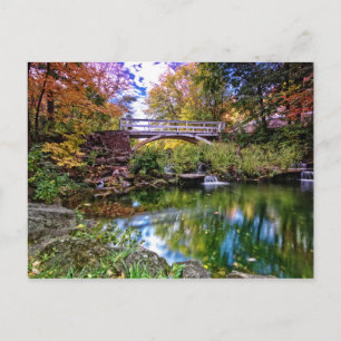 Carte Postale Jardin botanique